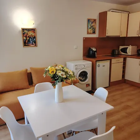 Apartamento ваканционно студио аквария